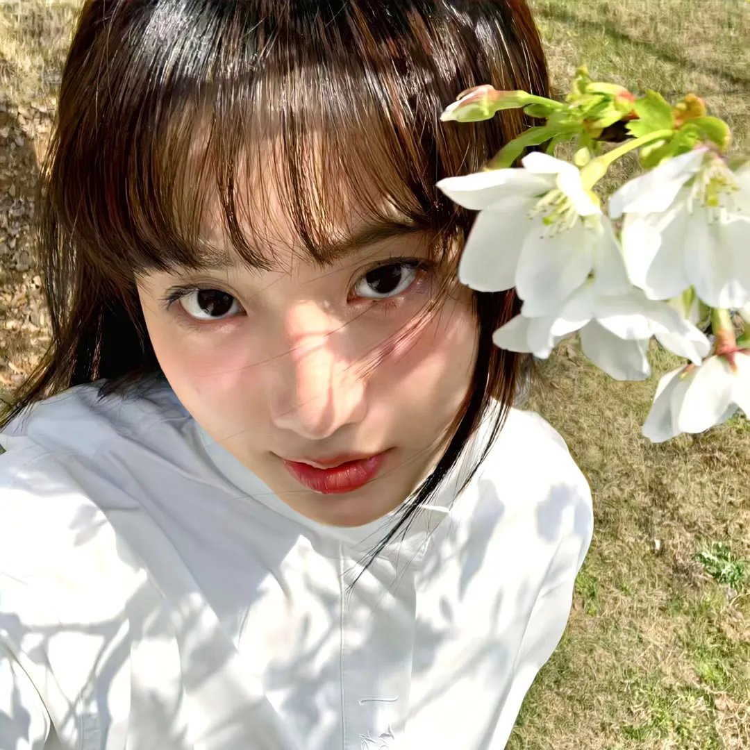 战火中的花蕾